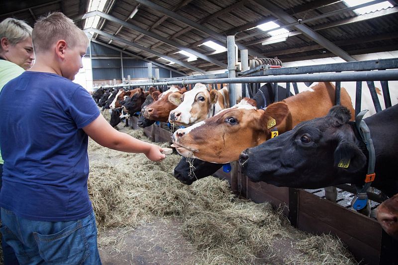 klik om te vergroten